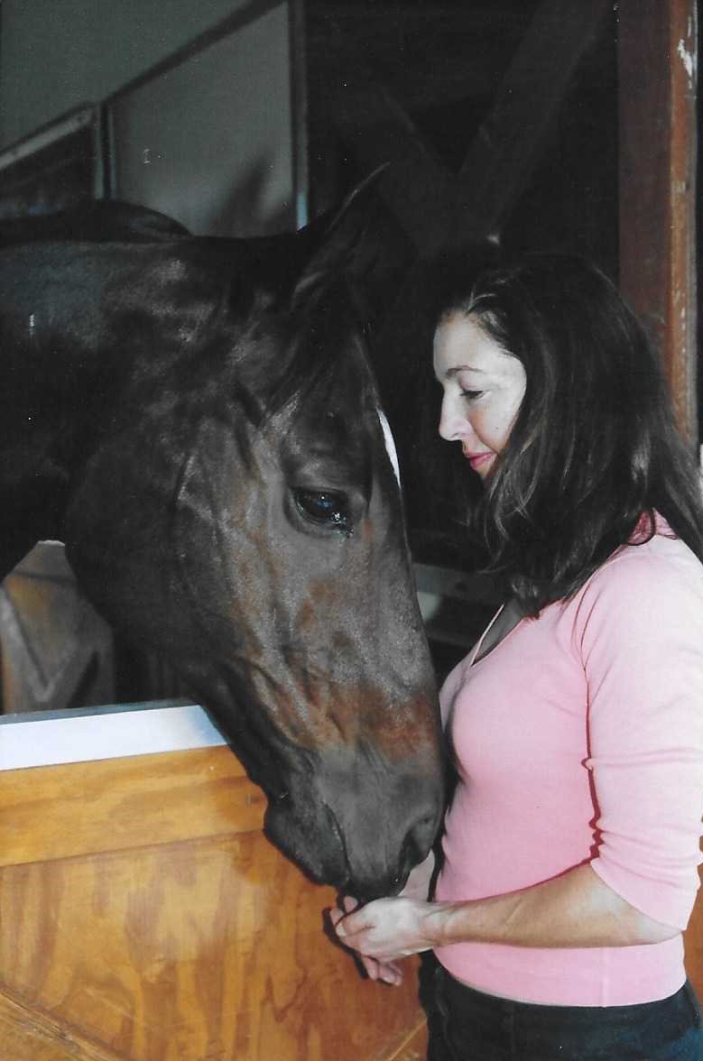 Horse Telepathy How To Use Simple Animal Communication Skills To Load Onto The Horse Trailer